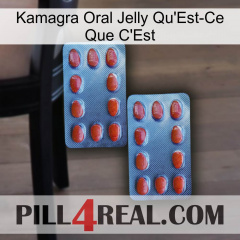 Kamagra Oral Jelly What Is It 05